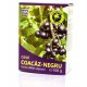 Ceai Coacaz-Negru Frunze 100g HYPERICUM