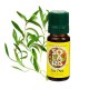 Ulei Esential de Tea Tree 10ml SOLARIS