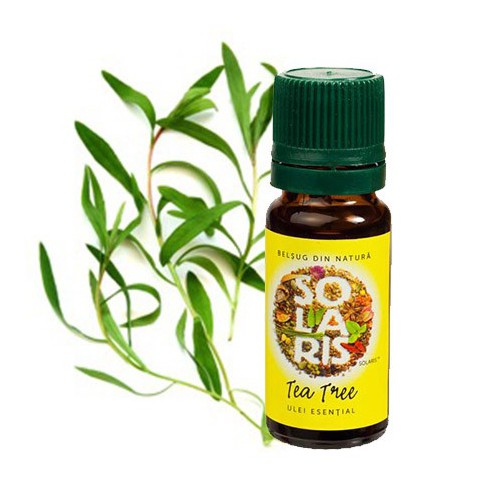 Ulei Esential de Tea Tree 10ml SOLARIS