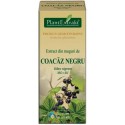 Extract din muguri de coacaz negru (Ribes nigrum) 50 ml Plant Extrakt