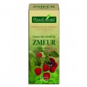 Extract din mladite de zmeur (Rubus idaeus) 50 ml Plant Extrakt