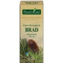 Extract din muguri de brad (Abies pectinata) 50 ml Plant Extrakt