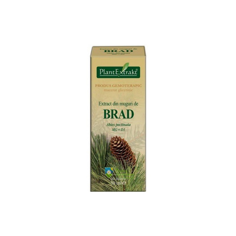 Extract din muguri de brad (Abies pectinata) 50 ml Plant Extrakt