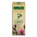 Extract din muguri de carpen (Carpinus betulus) 50 ml Plant Extrakt