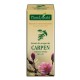 Extract din muguri de carpen (Carpinus betulus) 50 ml Plant Extrakt