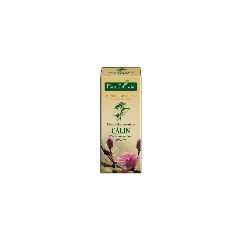 Extract din muguri de calin (Viburnum lantana) 50 ml Plant Extrakt