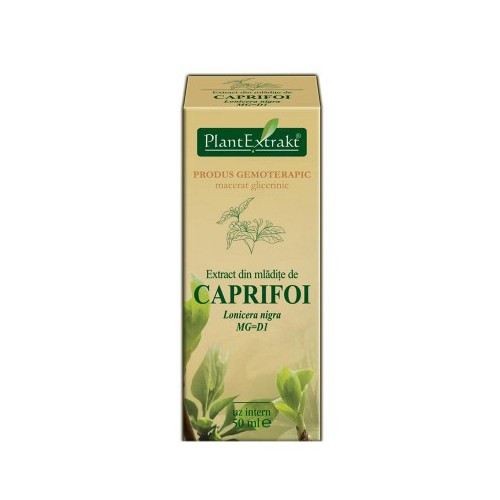 Extract din mladite de caprifoi negru (Lonicera nigra) 50 ml Plant Extrakt