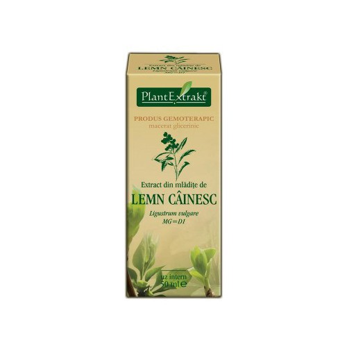 Extract din mladite de lemn cainesc (Ligustrum vulgare) 50 ml Plant Extrakt