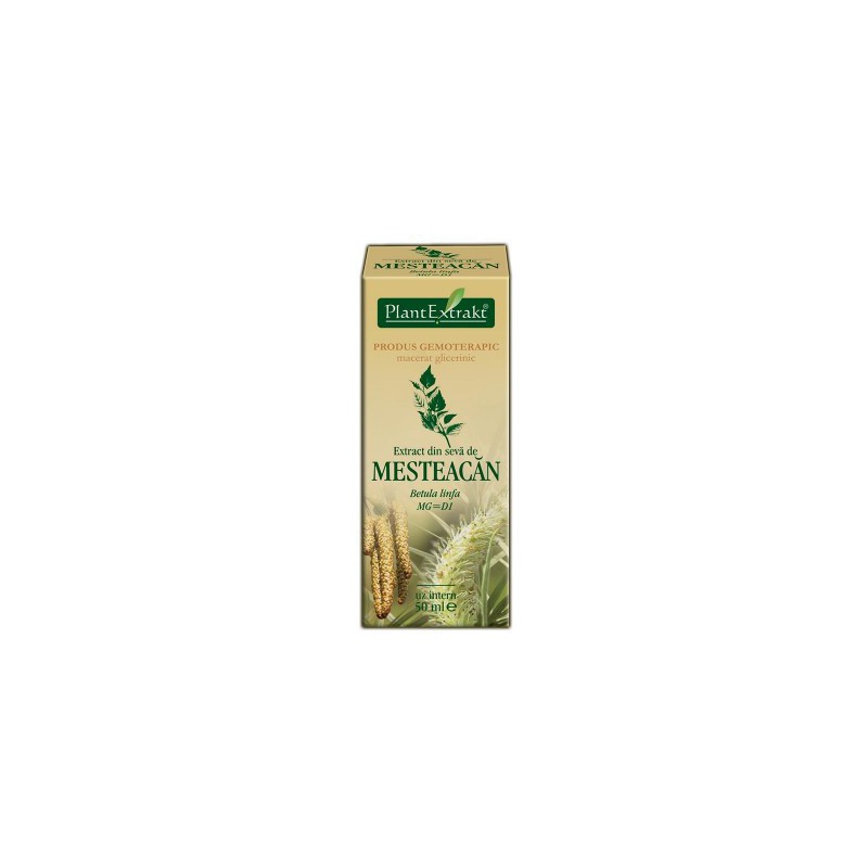 Extract din seva de mesteacan (Betula linfa) 50 ml Plant Extrakt