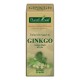 Extract din muguri de ginkgo (Ginkgo biloba) 50 ml Plant Extrakt