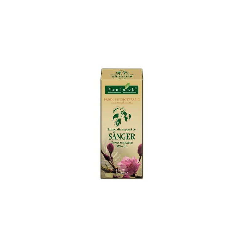 Extract din muguri de sanger (Cornus sanguinea) 50 ml Plant Extrakt