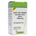 Ulei de Canepa 1000 mg 40cps HOFIGAL