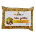 Polen poliflor uscat 200gr API VITALIS