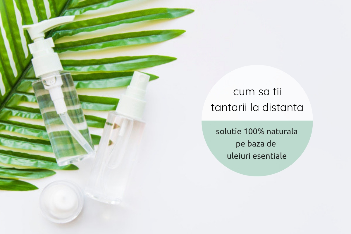 Protectie toata vara: Remedii naturale care sa tina tantarii la distanta