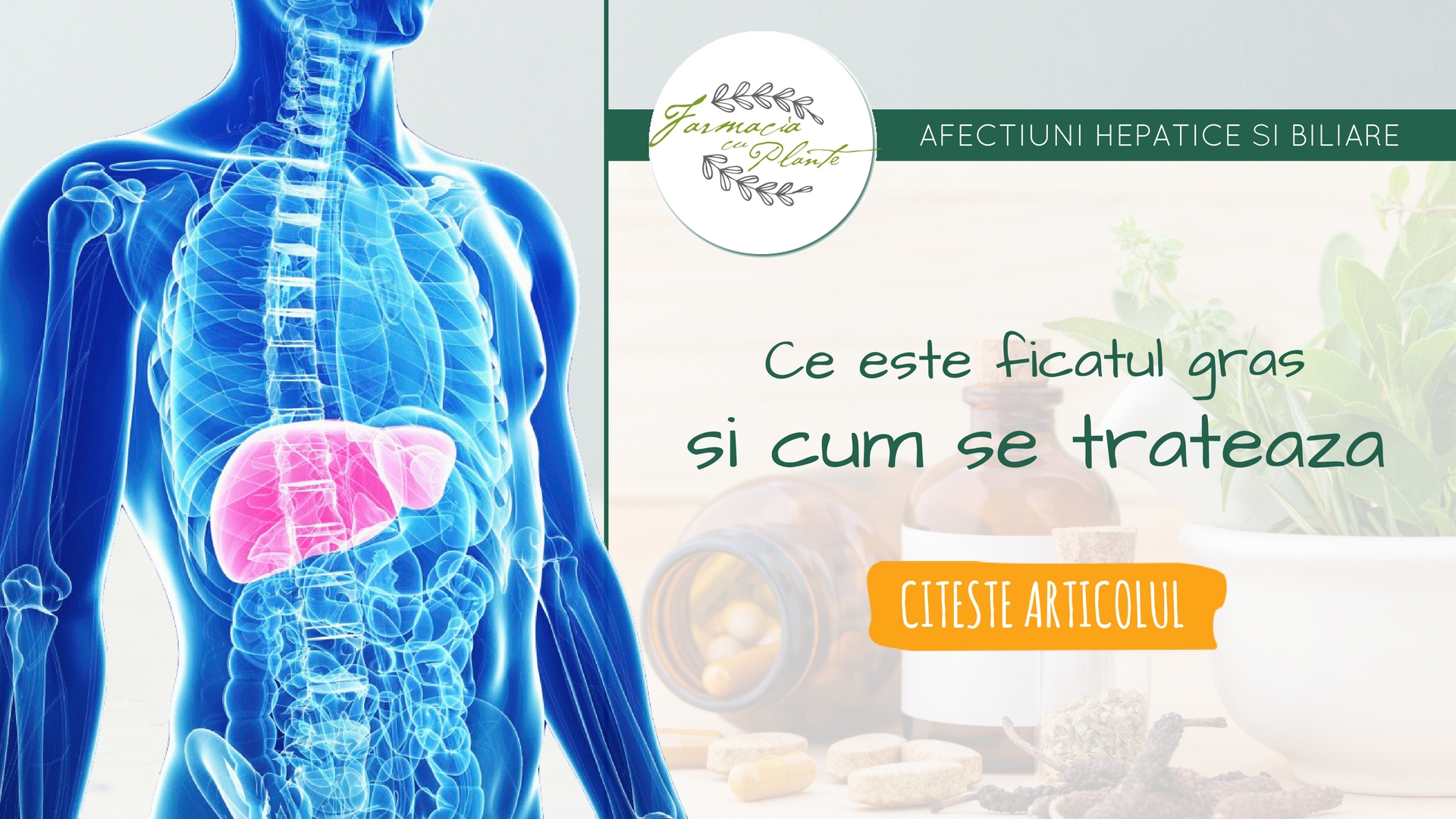 cu ce se curata ficatul de grasime what is gastric cancer