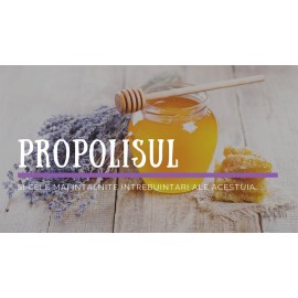 Pentru ce este recomandat propolisul