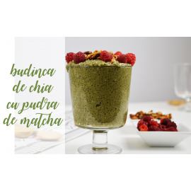 Budinca de chia cu pudra de matcha (VIDEO)