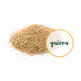 Quinoa, cereala-mama a incasilor: ce este, ce beneficii are si cum se prepara